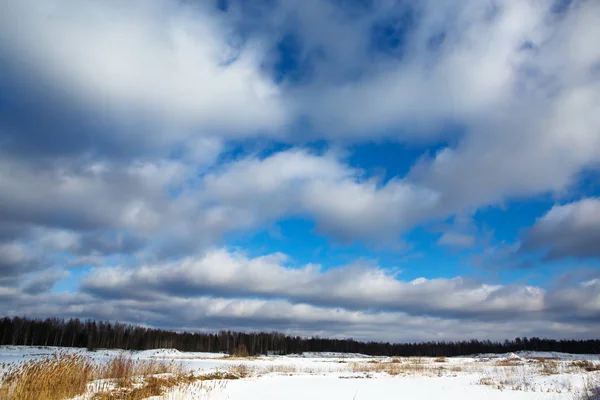 L'idilliaco panorama della foresta del Nord ghiacciato . — Foto Stock