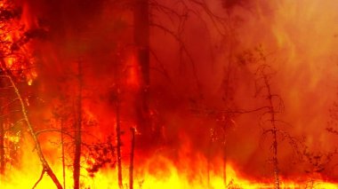 Environmental disaster of nature in the dry season of fires. clipart
