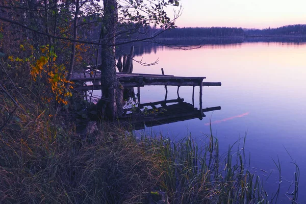 Paysage avec jetée en bois surplombant le lac forestier . — Photo
