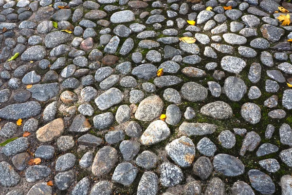 Cobblestones pavimento velho . — Fotografia de Stock