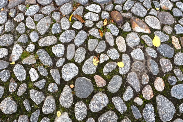 Cobblestones old pavement. — Stock Photo, Image