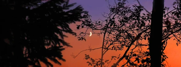 Coucher de soleil rouge et la jeune lune . — Photo