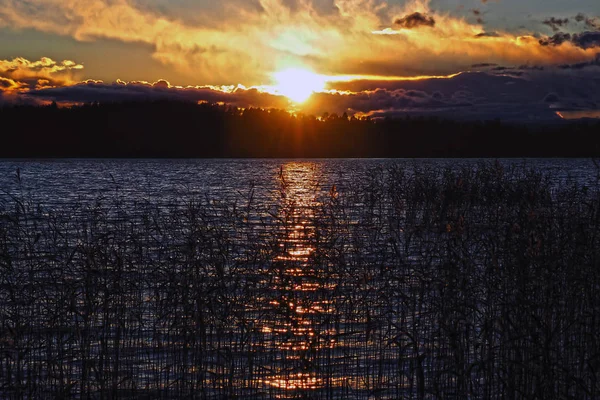 Sonnenuntergang über dem Teichwasser. — Stockfoto