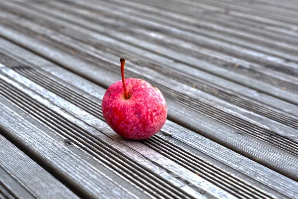 Jabłka spadł z drzewa. — Zdjęcie stockowe