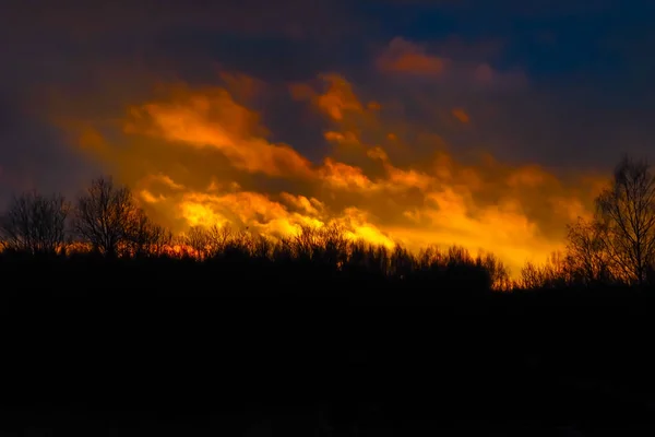 Éclat de feu sur la forêt sauvage . — Photo