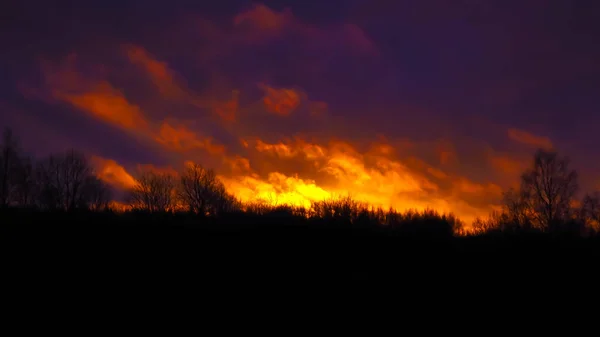 Λάμψη της φωτιάς πάνω από το άγριο δάσος. — Φωτογραφία Αρχείου