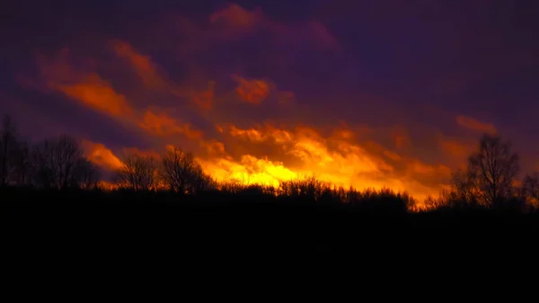 Éclat de feu sur la forêt sauvage . — Photo