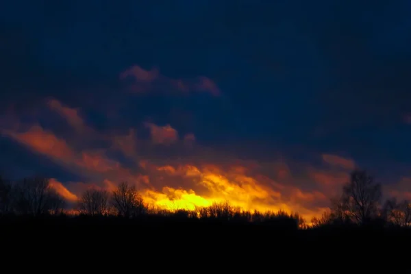 Éclat de feu sur la forêt sauvage . — Photo