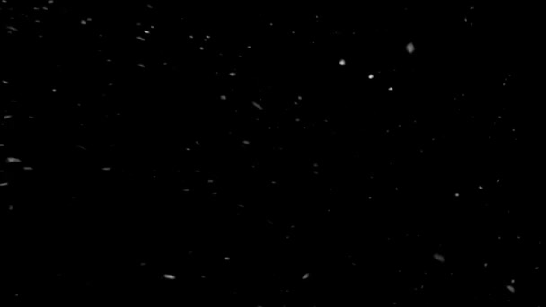 Nevica Notte Sfondo Nevicata Nero — Video Stock