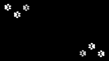 Hayvan pençe siyah yazdırır. Memeli yolu izler. 