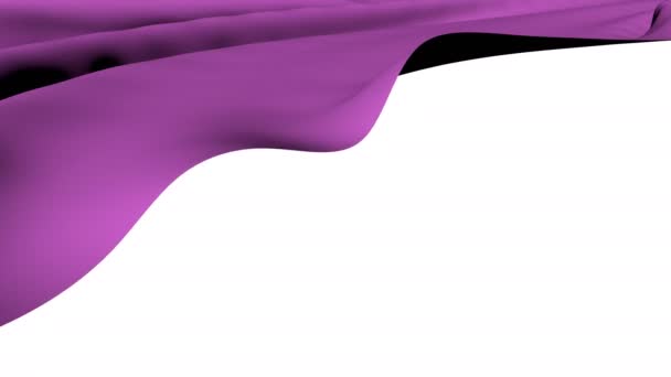 丁香飞行帆布 抽象结构在运动 — 图库视频影像