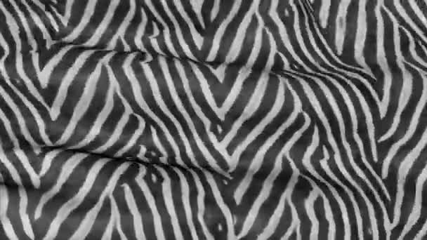 Ondas Tecido Cor Zebra Textura Abstrata Movimento — Vídeo de Stock