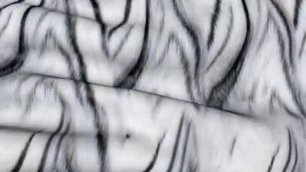 Δέρμα Του Μια Άσπρη Τίγρη Κίνηση Φόντο Από Τους Κυματισμούς — Αρχείο Βίντεο