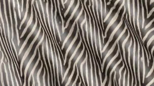 Vlny Zebra barevné látky. Abstraktní 3d textury hnutí. 