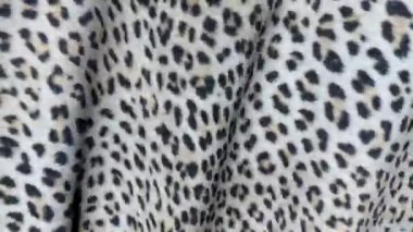 Beyaz Cilt hareket bir leopar. Arka planını tuval dalgalanmalar.  