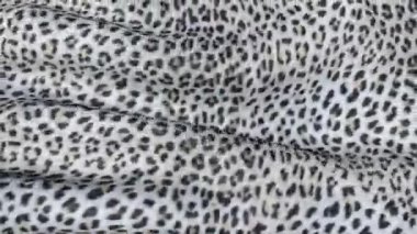 Beyaz Cilt hareket bir leopar. Arka planını tuval dalgalanmalar.  