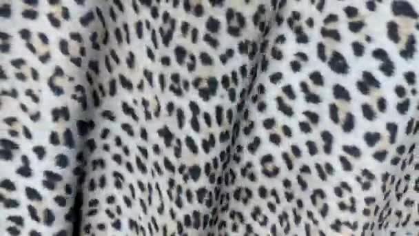 Pelle Bianca Leopardo Movimento Sfondo Delle Increspature Tela — Video Stock