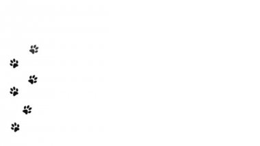 Soyut renkli pençe izleri. Memeli yolu izler.