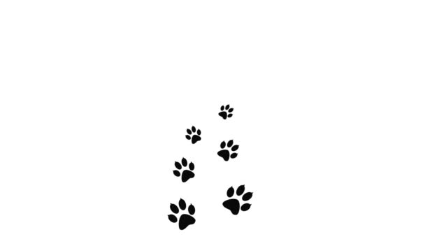 Background Animal Paw Print Cartoon Comic Funny Paws Walking Animal — Stock Video