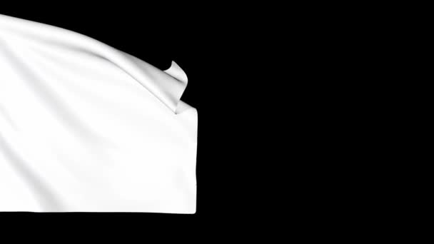 Bandeira Branca Acenando Preto Tecido Fundo Tremulando Vento — Vídeo de Stock