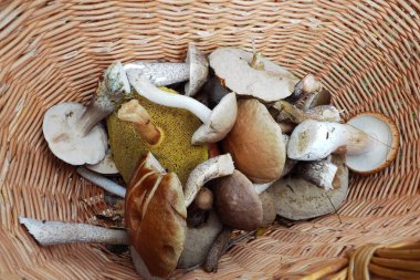 Mantar bir sepet içinde yenilebilir.