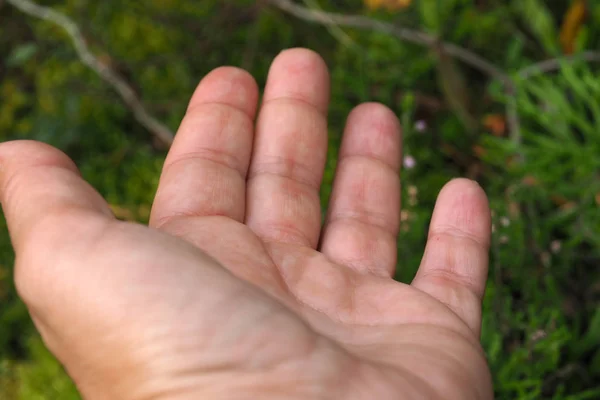 Primo piano femminile della mano . — Foto Stock