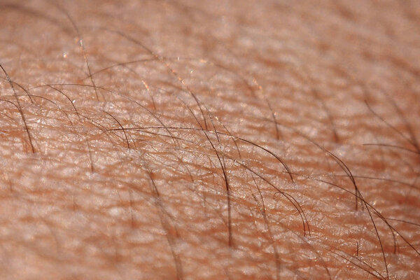The skin of a man with hair.