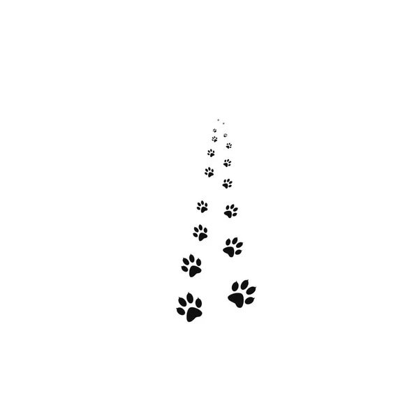 Impronte zampe nere che camminano sull'animale . — Foto Stock