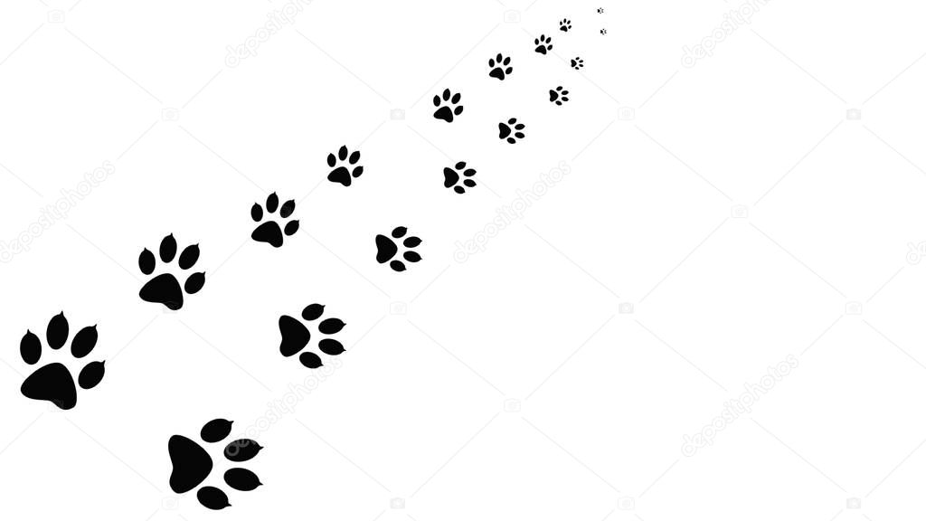 Black paw prints walking the animal.