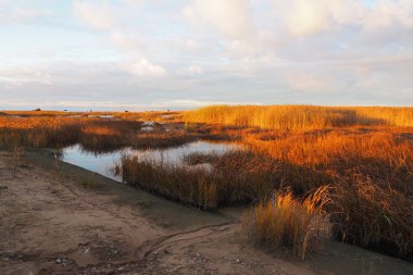 Kuzey Denizi kıyısında gün batımı mistik manzara. Finlandiya Körfezi sonbahar gecesi.