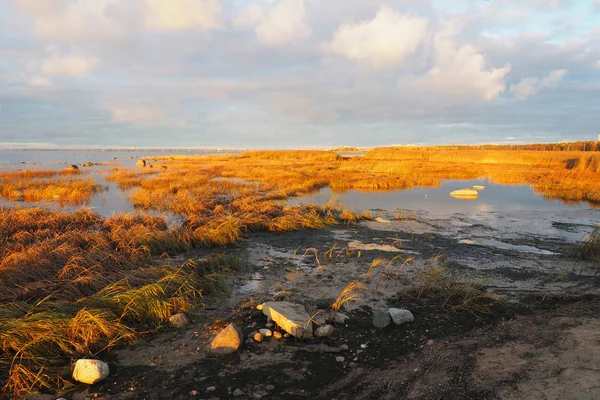 The mystical Landscape of sunset on the shore of the North sea. Gulf of Finland autumn evening.