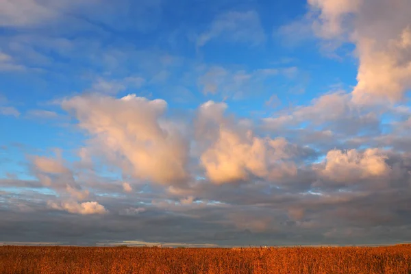 Landschaft Des Sonnenuntergangs Ein Mystischer Blick Auf Dunkle Wolken Über — Stockfoto