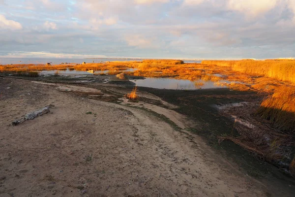 The mystical Landscape of sunset on the shore of the North sea. Gulf of Finland autumn evening.