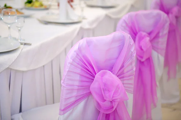 Wedding chairs with pink bows, — Stock Photo, Image