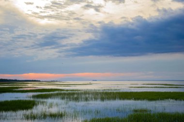 Bay üzerinde pastoral akşam.