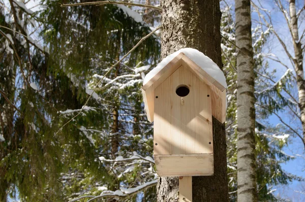 Casa de pájaros de madera para pájaros en un árbol . — Foto de Stock