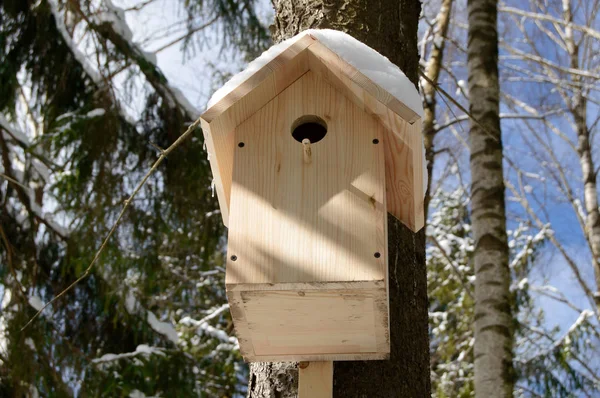 ツリー内の鳥のための木製の巣箱. — ストック写真