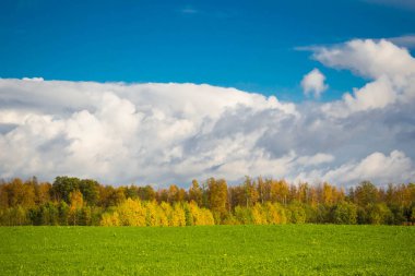 Bazen sonbahar manzara pastoral düşmek.