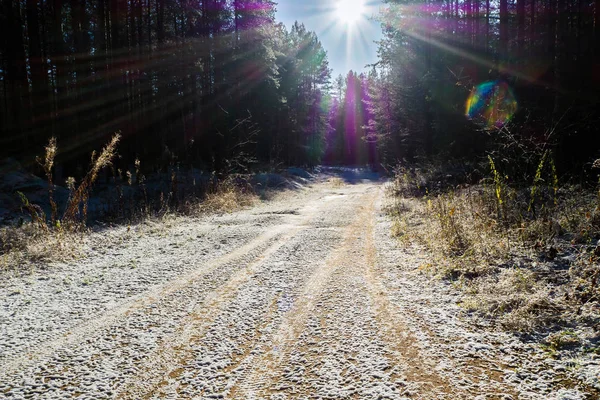 Doku lastik buzlu toprak yol üzerinde bir baskı olduğunu.