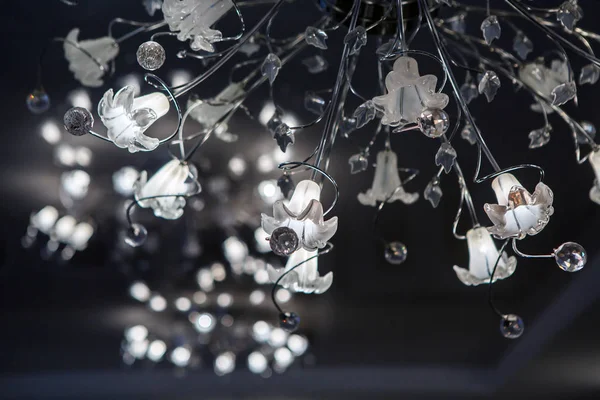 Bir dünya ile avize tavan.