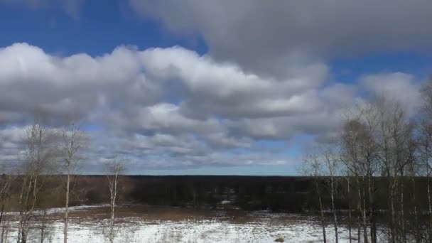 春の裸の木々の上空を飛ぶ雲の風景 森の中の背景の空 — ストック動画