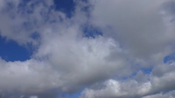 Liggande Moln Flyger Över Himlen Bakgrund Himlen Molnigt — Stockvideo