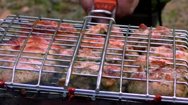 Κρέας Μπάρμπεκιου Ψήνεται Ένα Πλέγμα Στη Φωτιά Ψήσιμο Σάρκα Ανάπαυση — Αρχείο Βίντεο