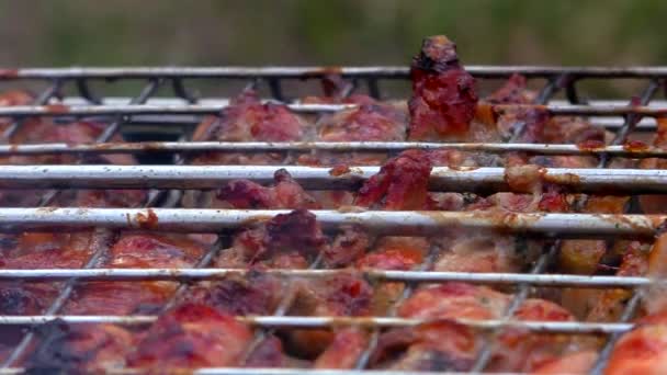 バーベキュー肉は火の格子で焼きます 外から安静時に肉を焙煎する — ストック動画