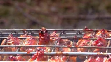 Barbekü eti ateşte kafesiçinde kavrulur. Dışarıdan istirahatte et kavurma.