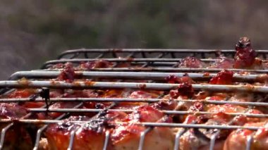 Barbekü eti ateşte kafesiçinde kavrulur. Dışarıdan istirahatte et kavurma.