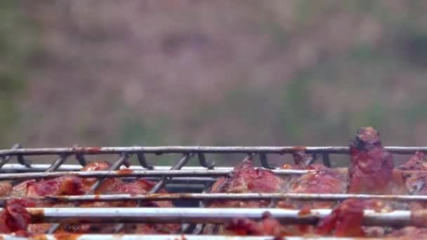 Opékané maso je opečené v krycí mřížku na ohni. — Stock video