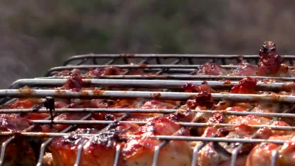 Grillfleisch Wird Einem Gitter Auf Dem Feuer Gebraten Fleisch Ruhe — Stockvideo