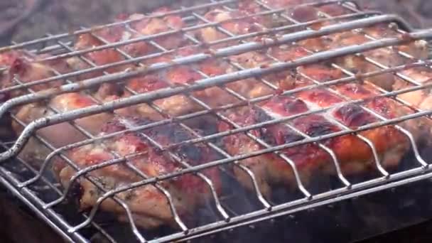 Мясо Барбекю Жарят Решетке Огне Обжаривание Плоти Снаружи — стоковое видео