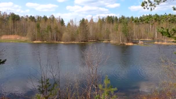 Lacs paysagers et forêts de la nature nordique. Nature sauvage par une journée ensoleillée .